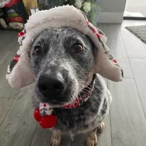 Meet your Posher, Lee